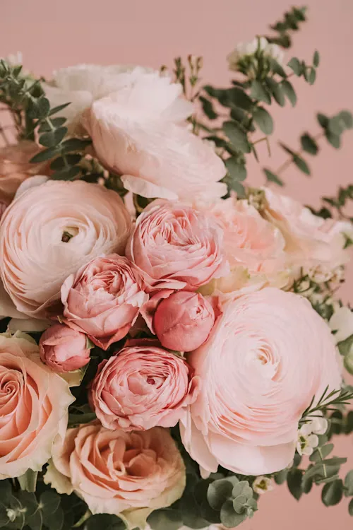 Blush & cream blush cream wedding 18