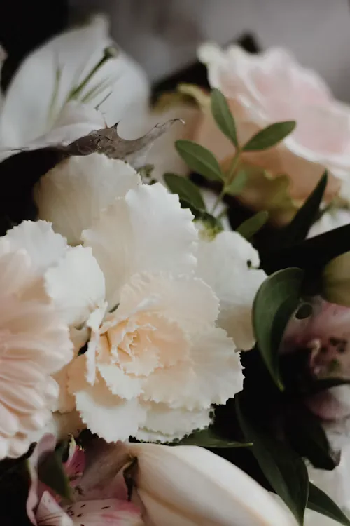 Blush & cream blush cream wedding 26