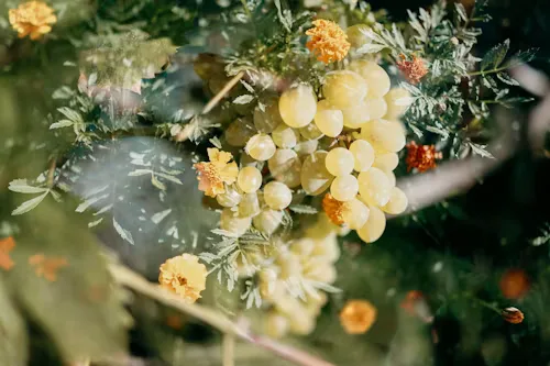 Butter yellow wedding 24