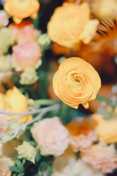 Butter yellow wedding 27